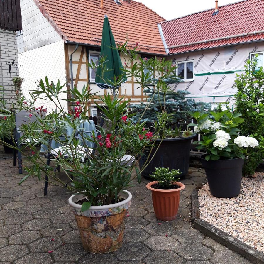 Ferienwohnung Am Berge Wolfshagen  Экстерьер фото